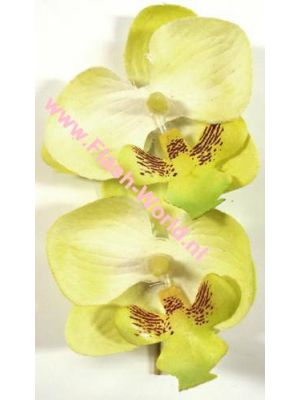 Silly Stuff Jwel U Natural Orchid Little / Yellow