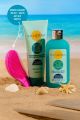 INEBRYA SOLEMAR AFTER SUN KIT: SHAMPOO, MASKER + GRATIS ANTI KLIT BORSTEL